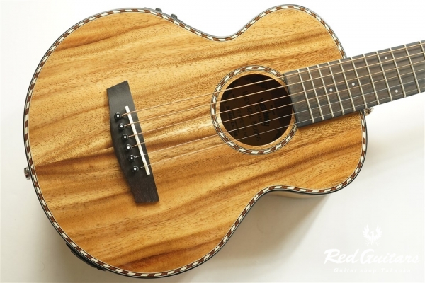 HEADWAY HT-BEETLE | Red Guitars Online Store